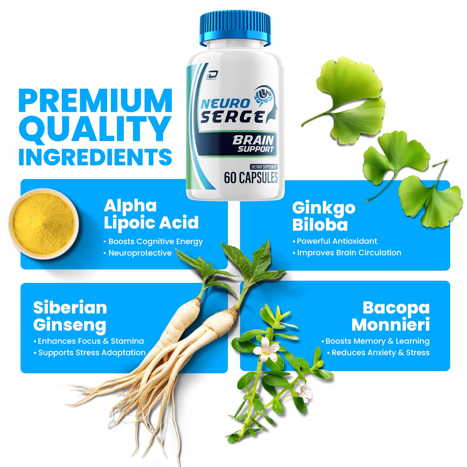 Neuro Serge Upgrade Your Mind: The Elite Nootropic for Razor-Sharp Focus and Lasting Mental Clarity - Imagem 5